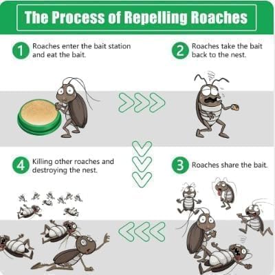 Cockroach Killer Gel