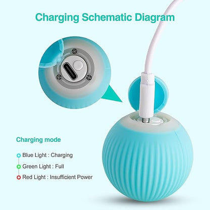 Smart Pet Teasing Ball